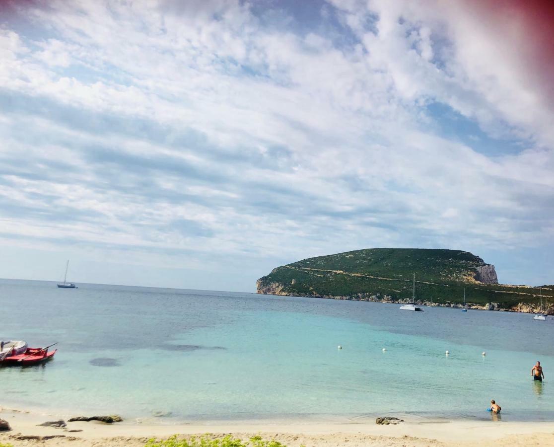 Villa Margherita อาลเกโร ภายนอก รูปภาพ